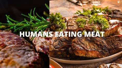 Why did humans start eating meat?