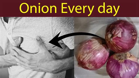 Why did humans start eating onions?