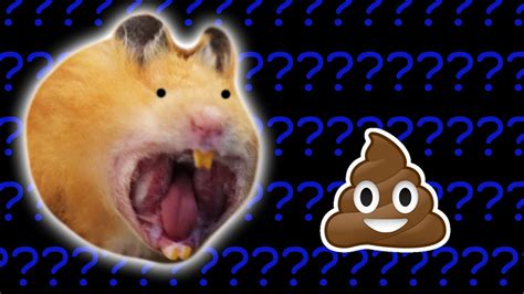 Why did my hamster eat his poop?