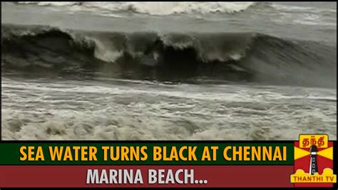 Why did the sea turn black?