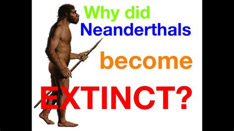 Why didn't Neanderthals make it?