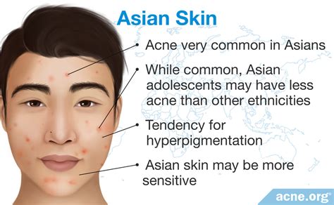 Why do Asians have thicker skin?