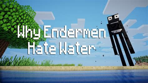 Why do Endermen hate water?