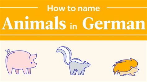 Why do German names have von in them?