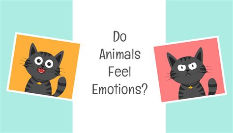 Why do I feel like my stuffed animals have feelings?