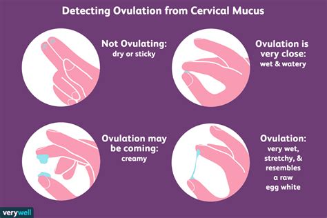Why do I itch when I ovulate?