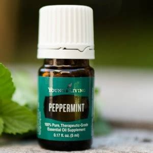 Why do I love peppermint so much?