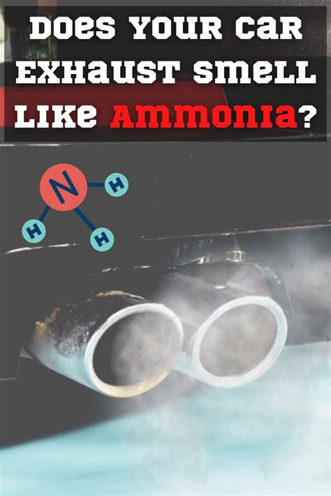 Why do I randomly smell ammonia?