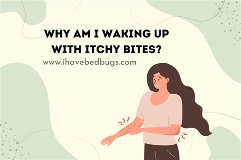 Why do I wake up with random bites on me?