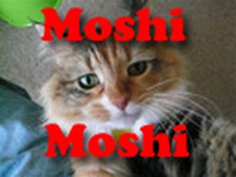 Why do Japanese say Moshi Moshi?