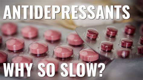 Why do antidepressants make you last longer in bed?