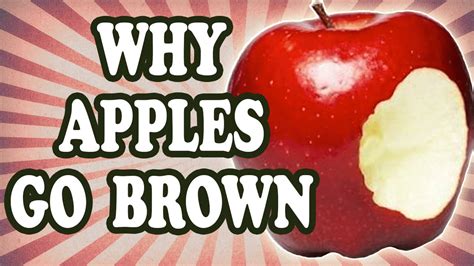 Why do apples turn black?
