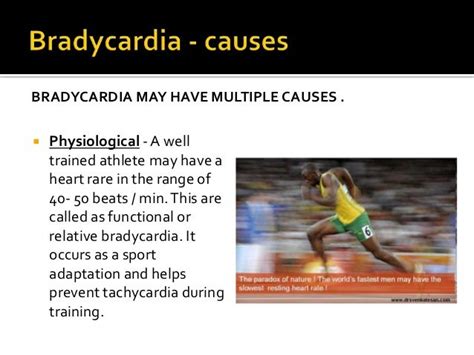 Why do athletes have bradycardia?