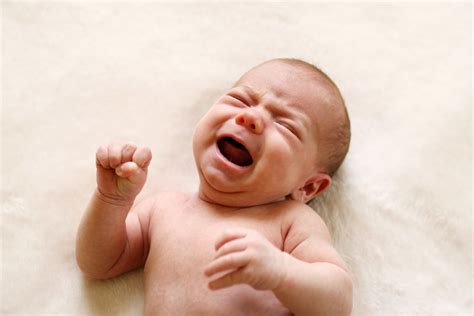 Why do babies cry when they hear yelling?