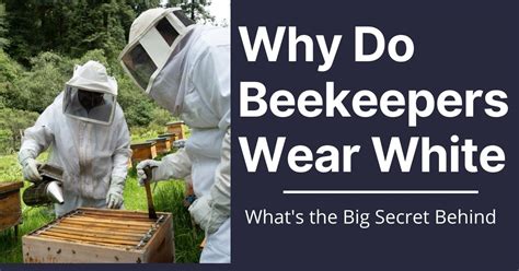 Why do beekeepers wear white?