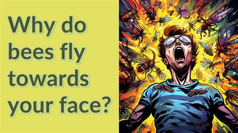 Why do bees fly towards your face?