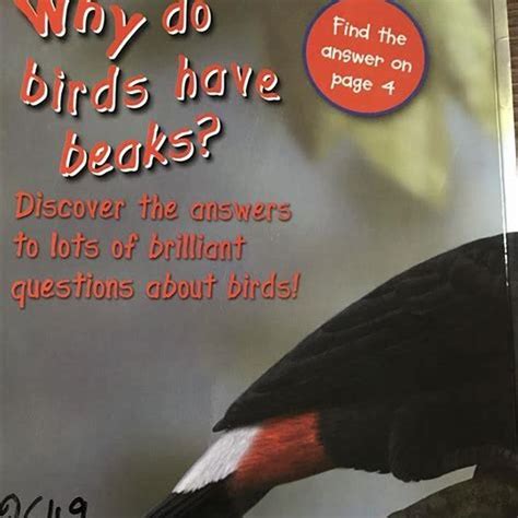 Why do birds peck you?