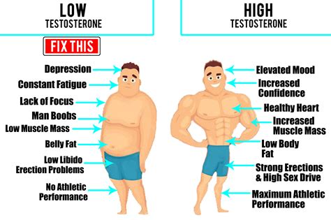 Why do bodybuilders have low testosterone?