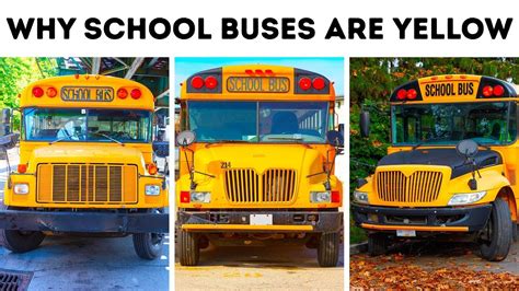 Why do buses travel?