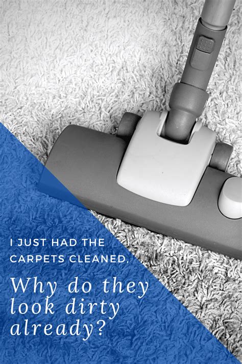 Why do carpets get dirty faster after cleaning?