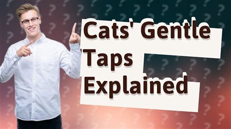 Why do cats gently tap you?
