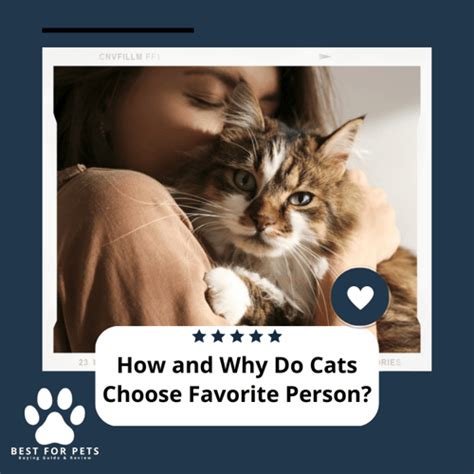 Why do cats pick a favorite person?