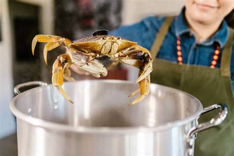Why do chefs boil crabs alive?