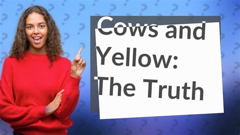 Why do cows hate yellow?