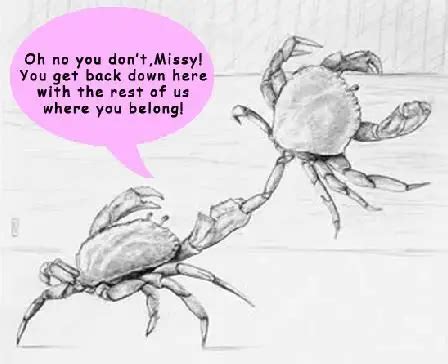 Why do crabs pull each other down?