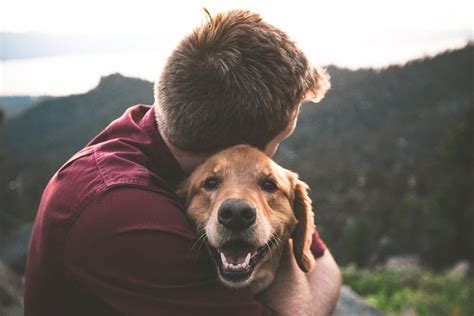 Why do dogs cuddle you when you cry?