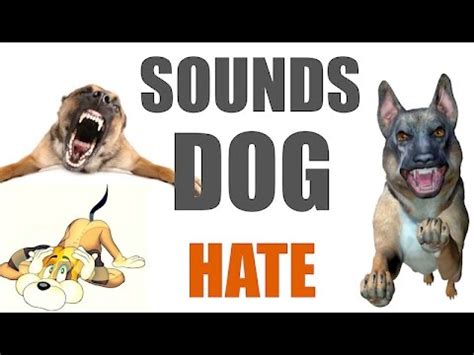 Why do dogs hate beeping noises?