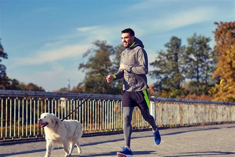 Why do dogs love running so much?