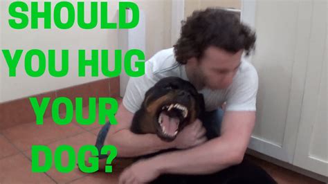 Why do dogs not like humans hugging?
