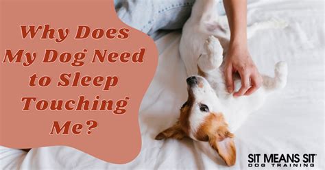 Why do dogs sleep touching you?
