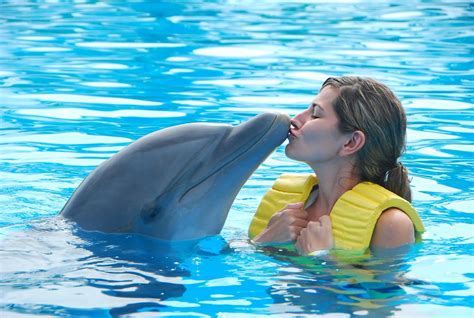 Why do dolphins like people?