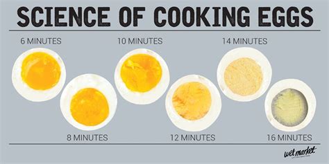 Why do eggs pop while cooking?