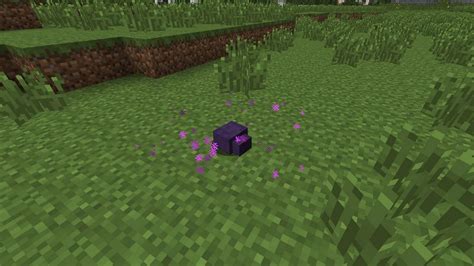 Why do endermites spawn?