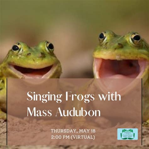 Why do frogs suddenly stop singing?