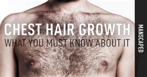 Why do guys have chest hair?