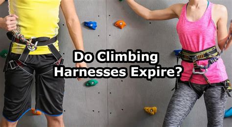 Why do harnesses expire?