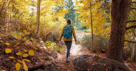 Why do hikers wear bright colors?