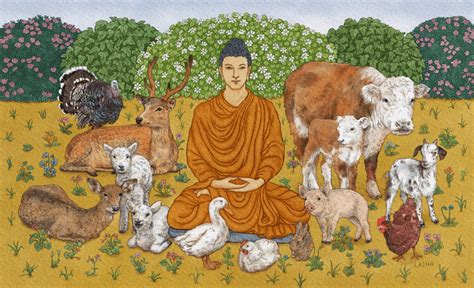 Why do hippies like Buddhism?