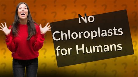 Why do humans not have chloroplasts?