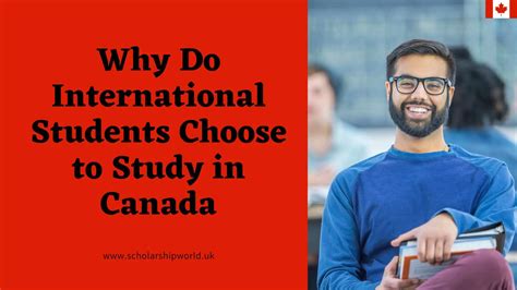 Why do international students choose Ontario?