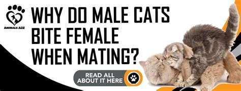 Why do male animals bite females during mating?