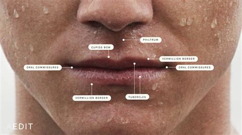 Why do men love lips?