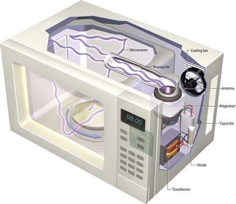 Why do microwaves get wet inside?