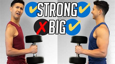 Why do muscles get stronger but not bigger?