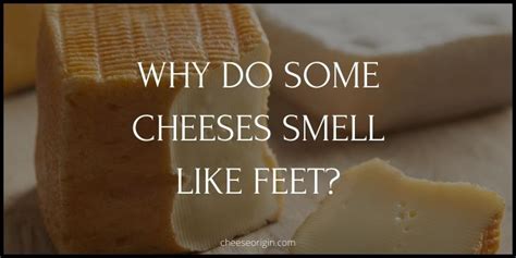 Why do my gauges smell like cheese?