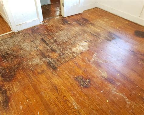 Why do my laminate floors get dirty so fast?